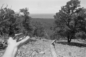 kissa visits the Valley, Crestone, San Luis Valley, Colorado, August 1996