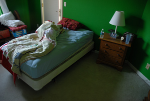 bed, Livermore, California, January 2007