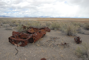 remainders, Blue Lake Wildlife Area, Utah, April 2010