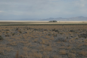 near Callao, Utah, May 2010