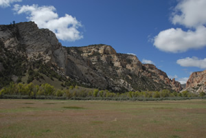 field at mouth of Upper Pool Creek Canyon, Dinosaur National Monument, Colorado, May 2010