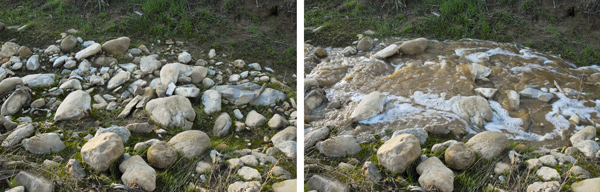 changing the course of nature, Carrizo Plains National Monument, California, December 2010