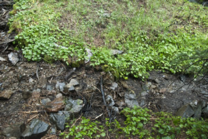 before changing the course of nature, near Mirror Lake, Colorado, September 2011