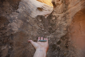 sacrifice, Red Rock Canyon, Dinosaur National Park, Colorado, April 2012