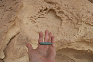 sacrifice, Upper Sand Canyon, Dinosaur National Park, Colorado, April 2012