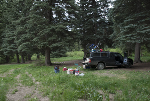 bed, Coal Creek, Gunnison National Forest, Colorado, June 2012