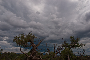 maybe the last of the monsoon, Glade Park, Colorado, July 2013