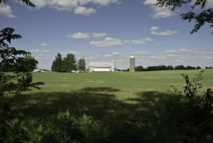 farmland, Cornwall, Pennsylvania, June 2014