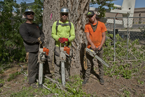 portrait, Chase, Justin, and Nick, Prescott, Arizona, April 2015