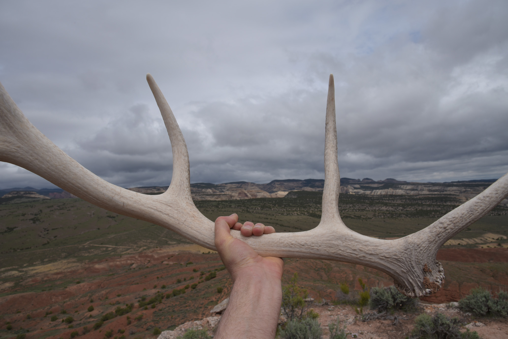 sacrifice, Dinosaur National Monument, Colorado, May ©2019 hopkins/neoscenes.