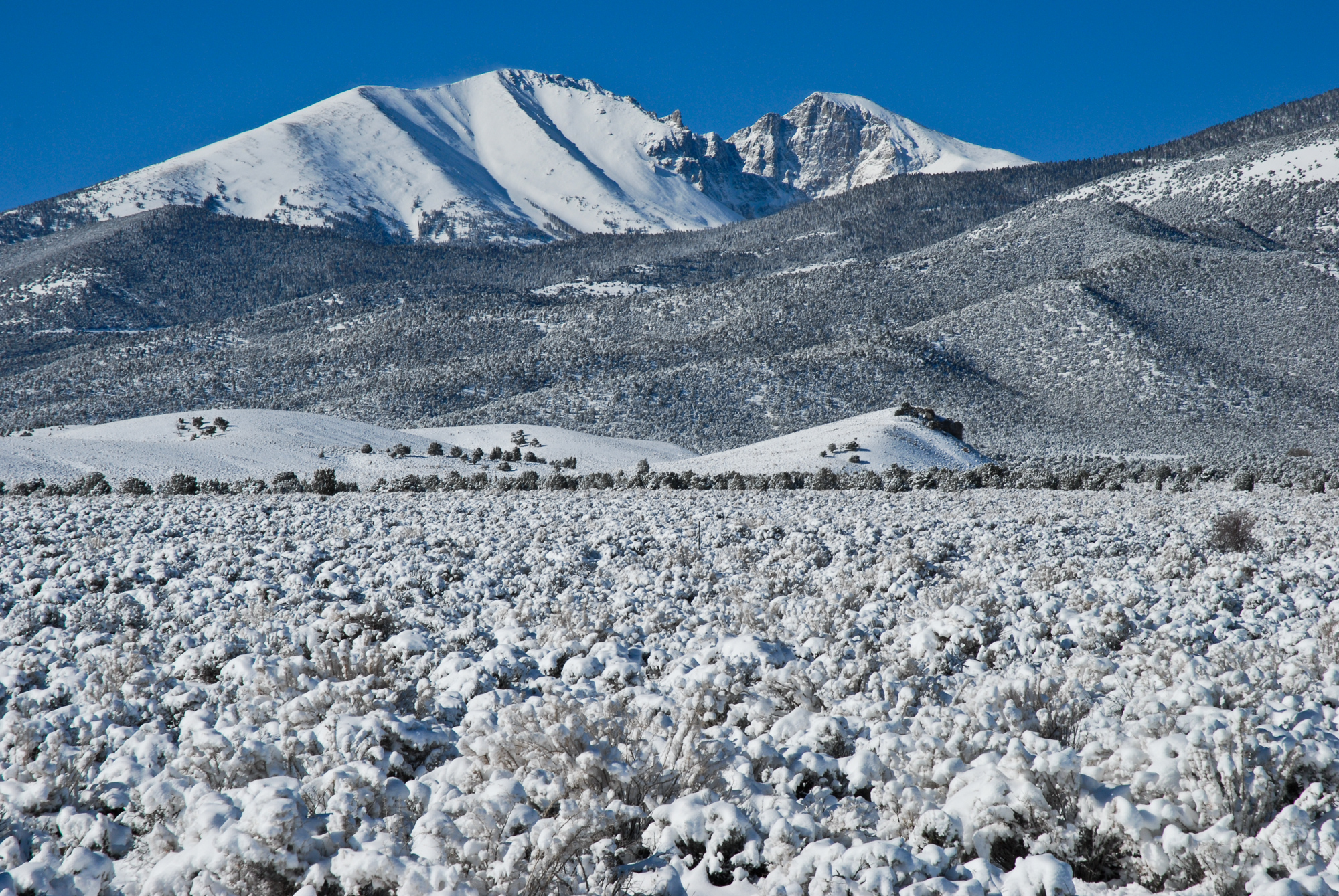 Wheeler Peak, Great Basin National Park, Nevada, April 2010